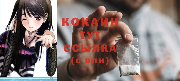 эйфоретик Каменка