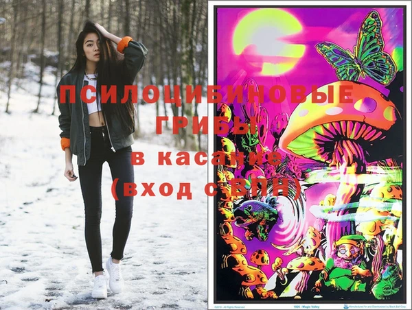 СК Инсар