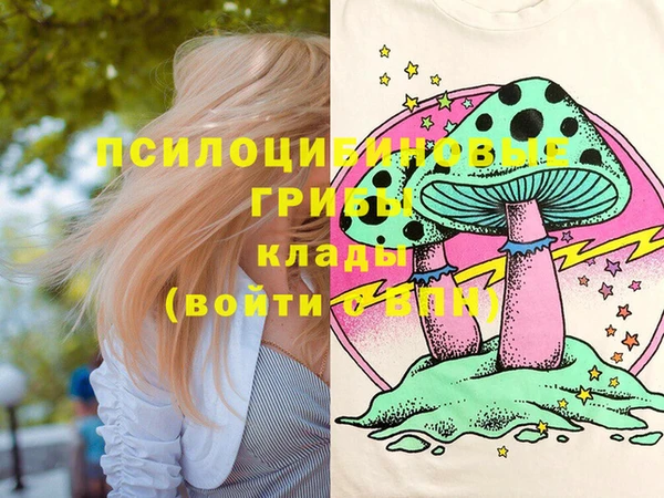 твердый Инта