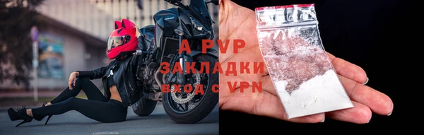 твердый Инта