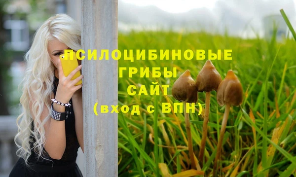 не бодяженный Каменногорск