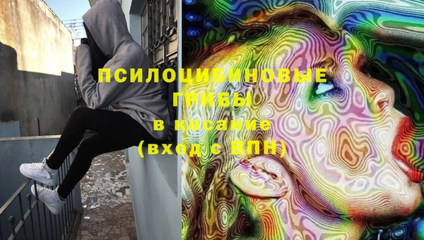 твердый Инта