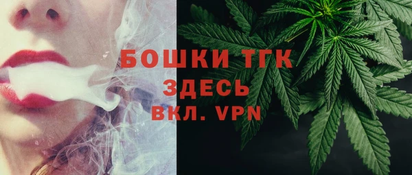 твердый Инта
