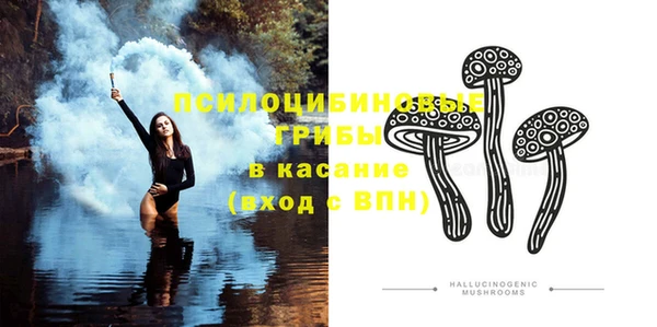 твердый Инта