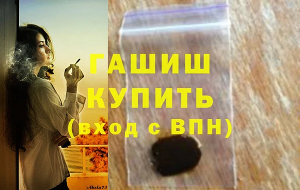 твердый Инта